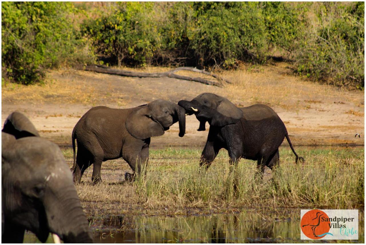 Sandpiper Villas Chobe Kasane Exterior foto