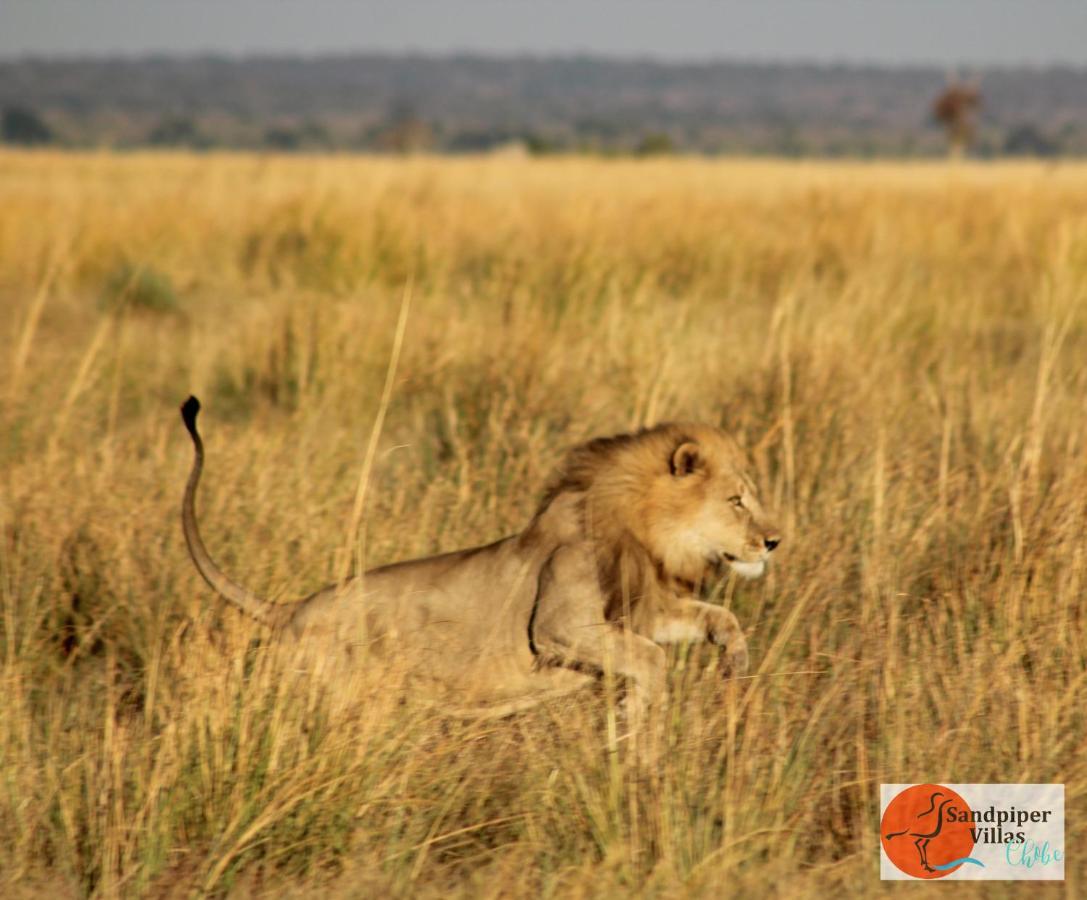 Sandpiper Villas Chobe Kasane Exterior foto