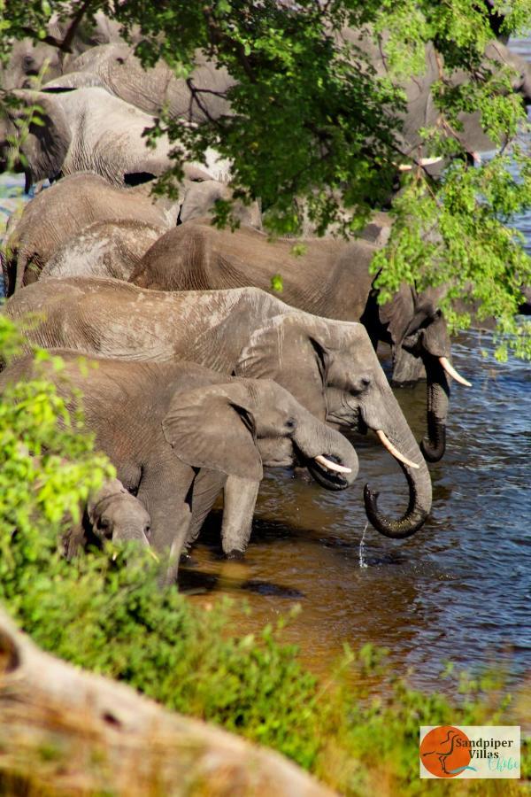 Sandpiper Villas Chobe Kasane Exterior foto